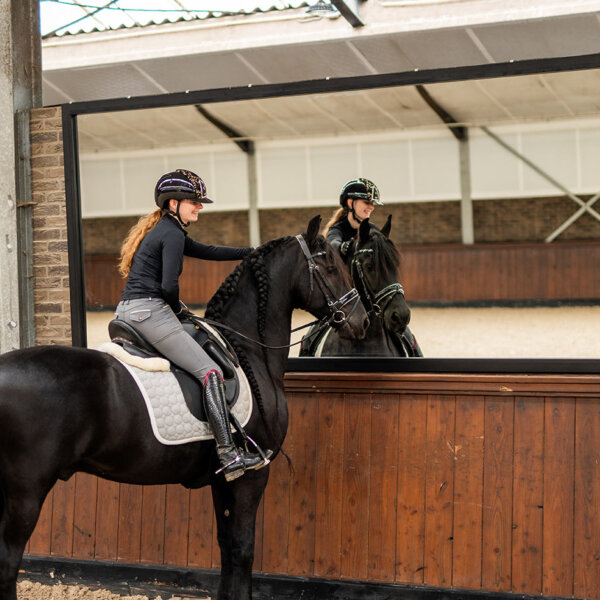 schwarzer-easy-fix-manege-spiegel-schnell-platziert-600x600