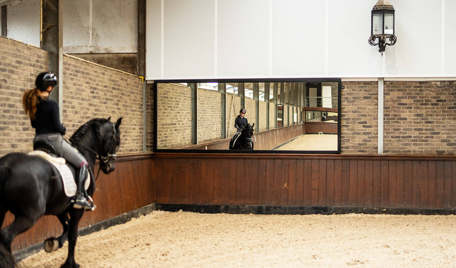 dressurspiegel-amsterdam-platziert
