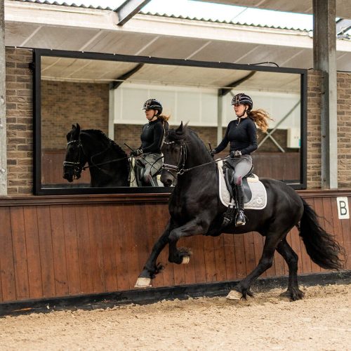 schwarzer-easy-fix-manege-spiegel-reiter-im-bild